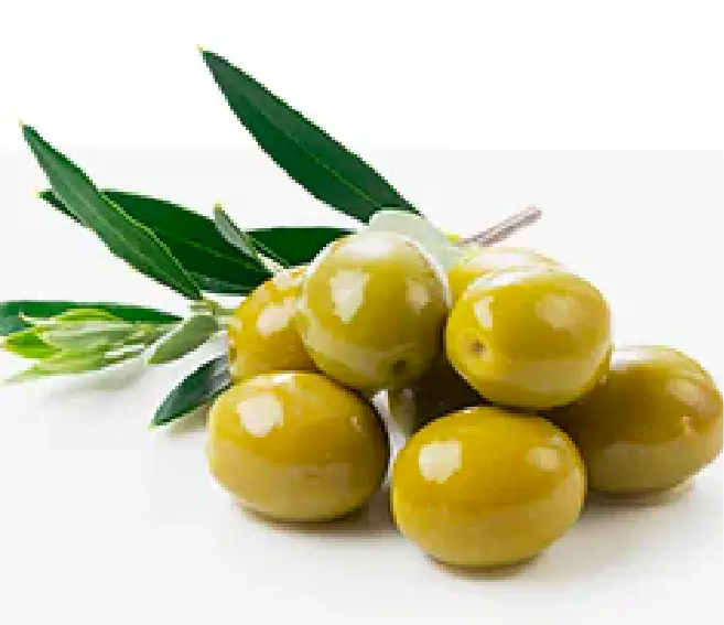 Mesa de trabajo 2 copia 13